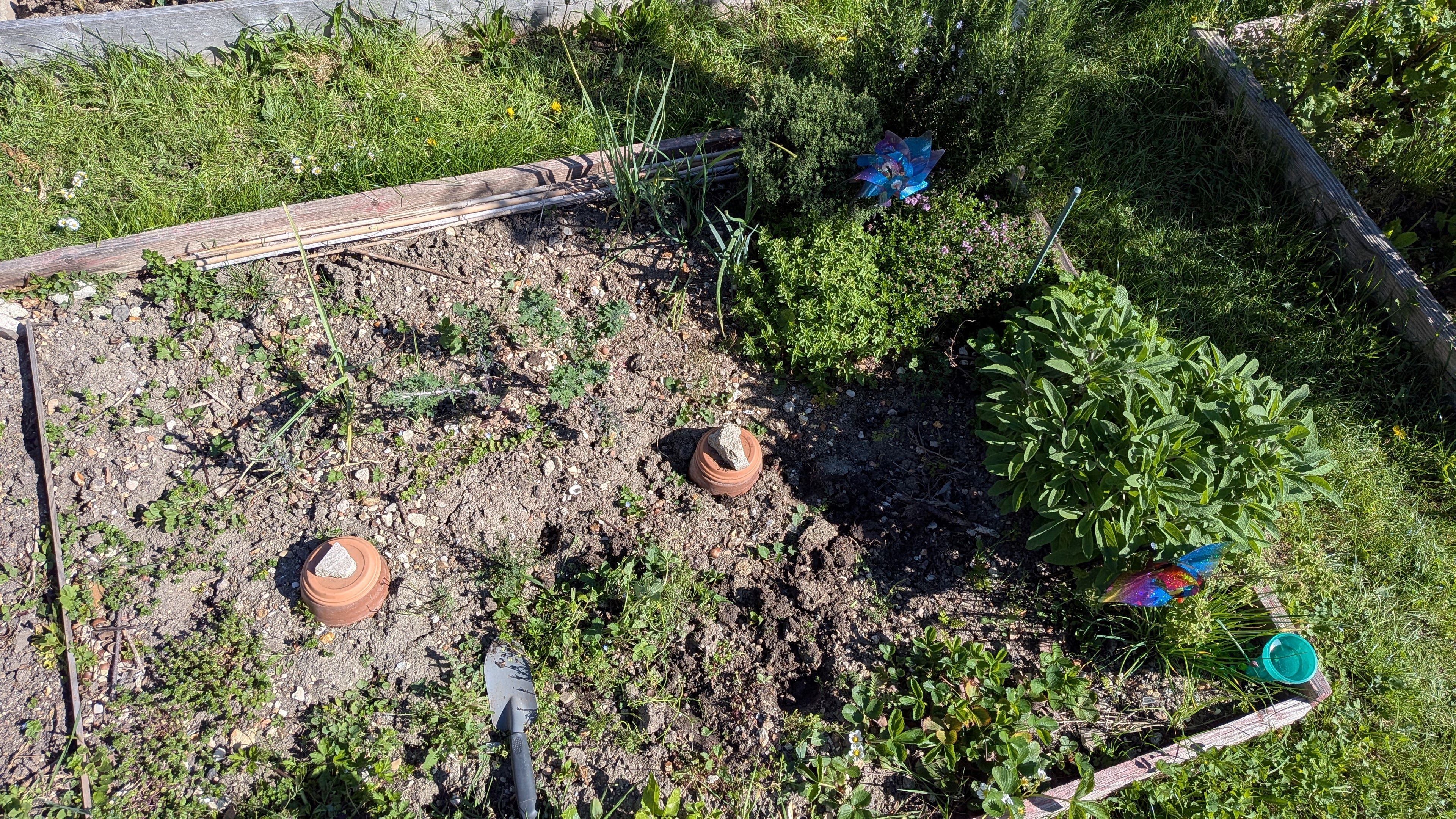 Carré potager au mois d’avril